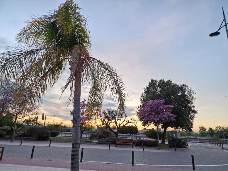 Apartamento Jacaranda Murcia Eksteriør bilde